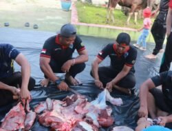 Lapas Pasir Pangarayan Kurban 11 Ekor Sapi dan 7 Ekor Domba, Daging Dibagikan untuk Warga Binaan dan Masyarakat Sekitar