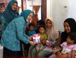 Ketua TP PKK Rokan Hulu Tinjau Cek Kesehatan Gratis dan Sunat Massal, Targetkan Tekan Stunting di 16 Kecamatan