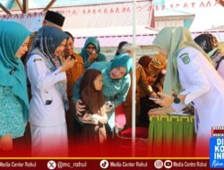 Ketua TP. PKK Rohul Launching PKG Gratis di Sekolah