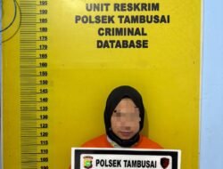 Unit Reskrim Polsek Tambusai Tangkap Seorang Wanita Pelaku Penggelapan Mobil dan Uang Ratusan Juta