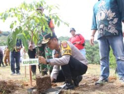 Momentum Hijau: Polres Rokan Hulu Tanam Pohon Bersama 200 Peserta di Bukit Suligi