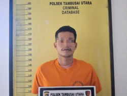 Pelaku Penusukan Tak Berkutik Saat Dirungkus Reskrim Polsek Tambusai Utara dan Resmob Polres Rohul