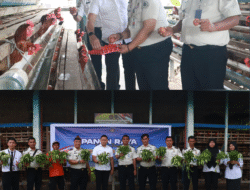 Kemenimipas Gelar Panen Raya Serentak Nasional, Lapas Pasir Pangarayan Panen  Sayur dan Telor Ayam Hasil Pembinaan Warga Binaan