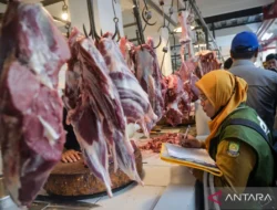 Pemerintah alokasikan 30 ribu ton kuota impor daging 2026 bagi swasta