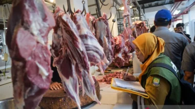 Pemerintah alokasikan 30 ribu ton kuota impor daging 2026 bagi swasta