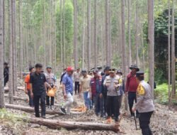 Sambangi Lokasi Pembunuhan Gajah, Kapolda Riau Tegaskan Scientific Crime Investigation dalam Pengusutan Kasus