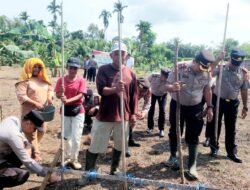 Polsek Ujungbatu Bersama Petani Tanam Jagung, Dukung Ketahanan Pangan dan Kesejahteraan Warga