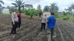 Dukung Swasembada Pangan, Polsek Kunto Darussalam Tanam Jagung Bersama Masyarakat