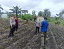 Dukung Swasembada Pangan, Polsek Kunto Darussalam Tanam Jagung Bersama Masyarakat