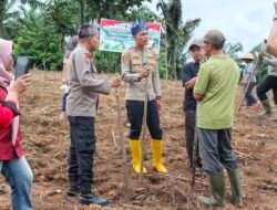 Waoo.!! Polsek Rambah Samo Kelola Lahan Dua Hektar untuk Program Ketahanan Pangan