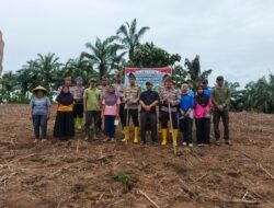 Kapolsek Rambah Samo Turun Langsung: Jagung Siap Perkuat Ketahanan Pangan Rokan Hulu