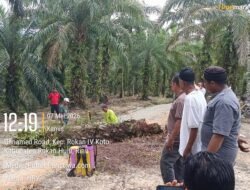 Jalan Wisata Selanca Terblokir, Warga dan Tokoh Adat Turun Tangan Bersihkan Akses