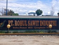 Diduga Limbah Cair Cemari Sungai di Ujung Batu, Aktivitas PT RSI Jadi Sorotan