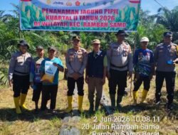 Kuartal II Tahun 2026, Kapolsek Rambah Samo Turun Langsung Kawal Penanaman Jagung