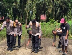 Dukung Swasembada Pangan, Kapolsek Ujungbatu Turun Langsung Tanam Jagung Bersama Petani