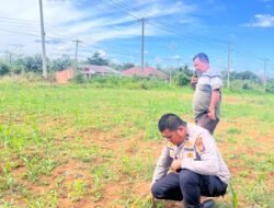 Polres Rokan Hulu Cek Tanaman Jagung di Lahan 6 Hektare, Perkuat Ketahanan Pangan Nasional di Tengah Musim Kemarau