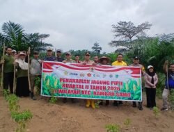 Swasembada Pangan: Polsek Rambah Samo Tanam Jagung di Lahan 4 Hektar Desa Marga Mulya