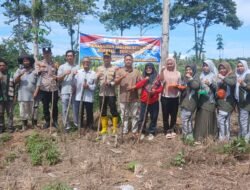 Polri Cinta Petani: Polsek Rambah Samo Giat Tanam Jagung Bersama Warga