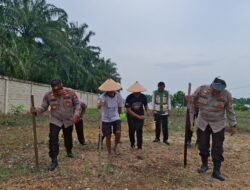 Dukung Ketahanan Pangan, Kapolsek Ujungbatu Tanam Jagung Bersama Petani di Lahan Seluas 1 Hektar