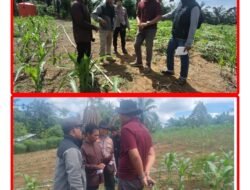 ‎Wujud Cinta Polri Polda Riau dan Polsek Rambah Samo Cek Kebun Jagung di Marga Mulya