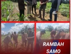 Polda Riau dan Polsek Rambah Samo Cek Kebun Petani Sebagai Bukti Cinta