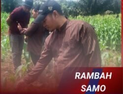 Gaungkan Swasembada Pangan, Polsek Ramso dan Tenaga Ahli Biro SDM Polda Riau Cek Kebun Warga