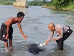 MAYAT PRIA DITEMUKAN MENGAPUNG DI AREA JEMBATAN SUNGAI UJUNG BATU