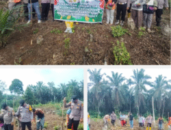 POLSEK RAMBAH SAMO TANAM JAGUNG, DUKUNG PROGRAM KETAHANAN PANGAN