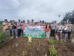 Polsek Ramso tanam jagung bersama bentuk cinta petani