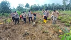 ‎Polsek Ramso tetap konsisten dukung ketahanan pangan, kini menanam di Desa Sei kuning ‎