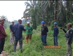 Dugaan Kerusakan Tanaman Sawit, PTPN Sei Intan dan Keluarga Simanjuntak Sepakat Lanjut Jalur Damai