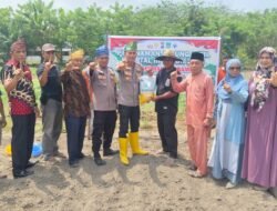 Dukung Ketahanan Pangan & Swasembada Pangan, Polsek Rambah Samo Tanam Jagung Pipil — Wujud Polri Cinta Petani