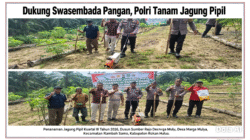 Swasembada & Ketahanan Pangan, Polri Cinta Petani Tanam Jagung di Marga Mulya