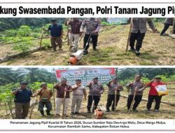 Swasembada & Ketahanan Pangan, Polri Cinta Petani Tanam Jagung di Marga Mulya