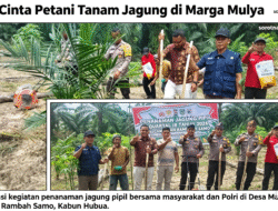 Dukung Swasembada Pangan, Polri Cinta Petani Tanam Jagung Pipil