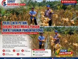 Dukung Swasembada Pangan, Bhabinkamtibmas Cek Tanaman Jagung Kelompok Tani di Rambah Samo
